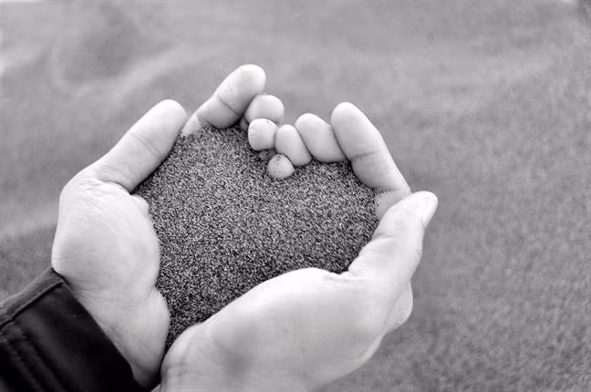 Vo vo sinh, nguoi yeu cu thiet tha de nghi toi lam chuyen nay-Hinh-2