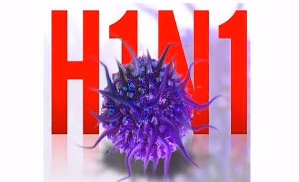 Đã có 6 trường hợp nhiễm cúm A/H1N1 tại Vĩnh Long - Hình 2 Da co 6 truong hop nhiem cum A/H1N1 tai Vinh Long-Hinh-2