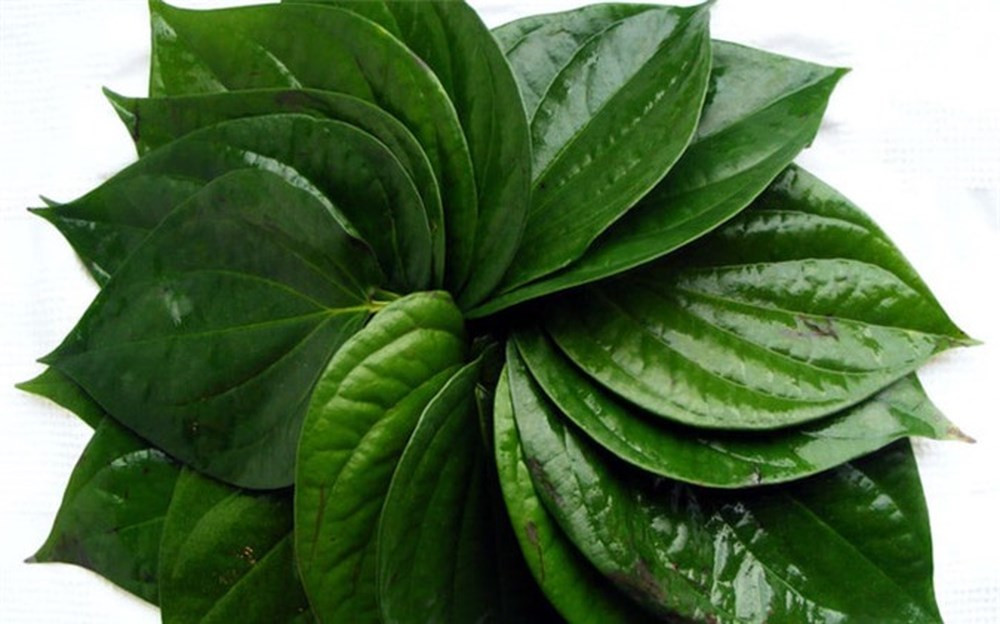 Có thể dùng lá trầu tươi, lá rau răm (vò nát, đắp lên chỗ ngứa). Hoặc chuẩn bị sẵn một ít giấm ăn, muối ăn, khi cần thiết, pha vào nước sạch vài thìa cà phê, ngâm chân vào đó ngày 2- 3 lần, khoảng 10 phút mỗi lần.