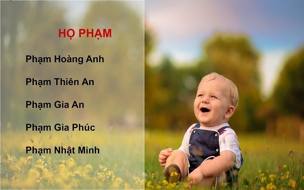 Tat tan tat nhung ten hay theo ho cho be trai va be gai sinh nam 2018-Hinh-6