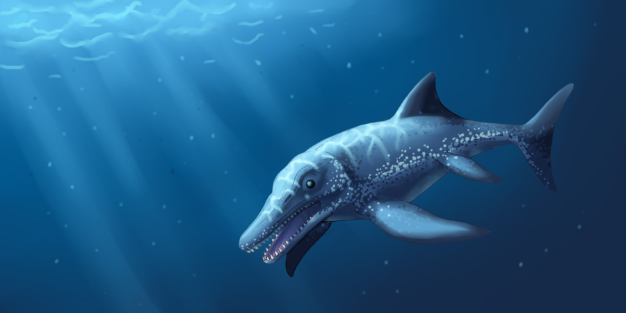 Một phần xương tiết lộ, đây là loài cá voi Protocetidae nguyên thủy nhất được biết tới từ Châu Phi. Tuy nhiên, quá trình tiến hóa ban đầu của cá voi ở châu Phi vẫn đang là bí ẩn lớn với nhân loại, dù con người đã phát hiện được một số hóa thạch gần đây.