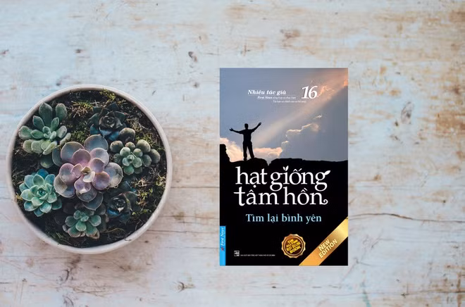 Tìm lại bình yên là tập 16 trong bộ sách Hạt giống tâm hồn. Sách tập hợp câu chuyện của các nhân vật ở nhiều lứa tuổi, hoàn cảnh khác nhau. Đó có thể là người thuộc thế hệ trẻ đang sung sức hay người chịu những bất hạnh, đau đớn thể xác, tâm hồn. Câu chuyện của họ đều có chung một điểm, đó là tình yêu thương cuộc sống sâu sắc và mãnh liệt. Nhờ sợi dây tình thương, ta có thể kết nối với mọi người, mọi vật xung quanh, kết nối với chính tâm hồn, để từ đó thấy sự bình an trong mọi hoàn cảnh cuộc sống.