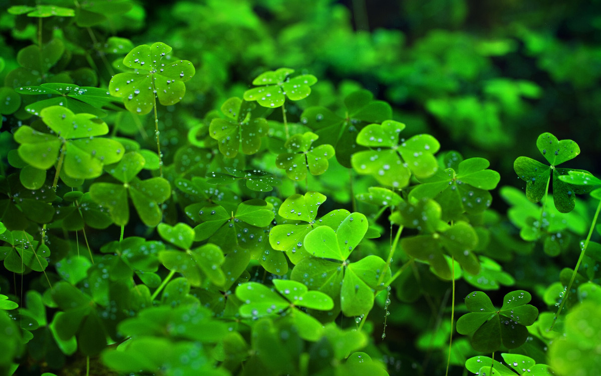 Người sinh vào ngày 3 và 10 Âm lịch. Người sinh vào ngày 3 Âm lịch có tâm, có tài nhưng cuộc đời gặp phải nhiều thăng trầm, thậm chí nhiều người phải tha phương lập nghiệp mới nên cơ đồ. Trong nửa đầu cuộc đời, họ vốn vấp phải nhiều thị phi và sóng gió ngoài cuộc đời mưu sinh.