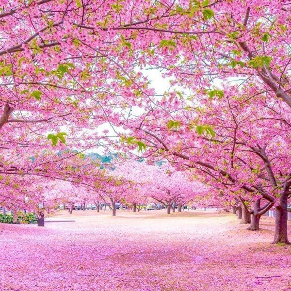 Tuy vậy, năm tháng dần trôi, về già những người sinh vào ngày 17 và 23 Âm lịch sẽ có phúc khí vô tận, nhận được sự hỗ trợ của quý nhân. Tài vận sẽ ổn định sau tuổi trung niên, bởi vậy những thăng trầm họ đối mặt từ ngày trẻ thực sự đáng giá.