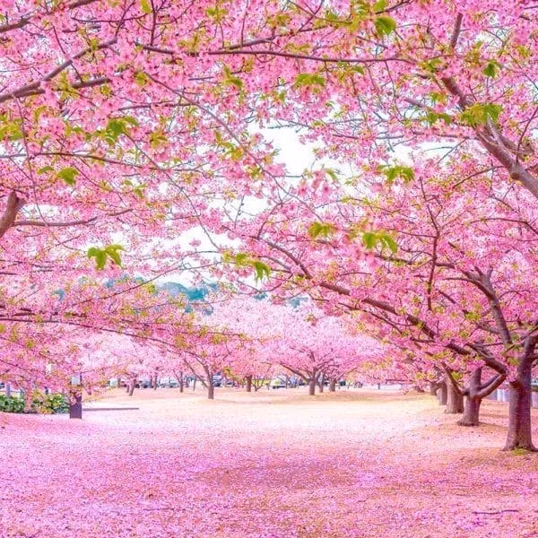 Tuy vậy, năm tháng dần trôi, về già những người sinh vào ngày 17 và 23 Âm lịch sẽ có phúc khí vô tận, nhận được sự hỗ trợ của quý nhân. Tài vận sẽ ổn định sau tuổi trung niên, bởi vậy những thăng trầm họ đối mặt từ ngày trẻ thực sự đáng giá.