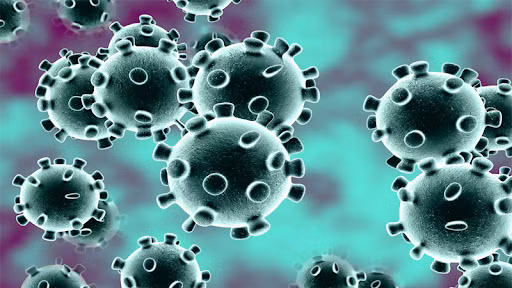 Theo những ghi chép của nhà thấu thị, "loài người sẽ quen" với một loại virus mới. Nhà tiên tri này không nói chính xác điều này sẽ xảy ra như thế nào, với sự giúp đỡ của hành động tiêm chủng hay miễn dịch tự nhiên. Nhưng bà khẳng định, loài người "sẽ quen". Bà Vanga dự đoán, trong năm 2022 sẽ có 2 nhân vật quan trọng của thế giới được sinh ra. Tất nhiên điều này sẽ phải đợi rất nhiều năm sau để kiểm chứng.