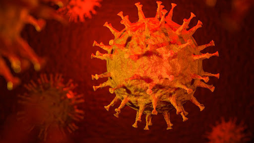 Trong tiếng Bulgaria, từ "corona" có ý nghĩa chỉ sự giám hộ và gắn liền của Bulgaria với lãnh thổ Nga. Chính vì vậy, bà Neshka đã từng nghĩ rằng câu nói của nhà tiên tri Vanga có ý nghĩa "Bulgaria sẽ thuộc quyền giám hộ của Nga" nhưng mãi sau này, bà mới hiểu ra rằng đó là lời sấm truyền về một đại dịch có tên virus corona. Phán đoán của bà Vanga về dịch bệnh trong năm 2020 là chính xác trong bối cảnh dịch viêm đường hô hấp cấp Covid-19 do virus SARS-CoV-2 gây ra đã bùng phát trên toàn thế giới khiến hàng triệu người tử vong.