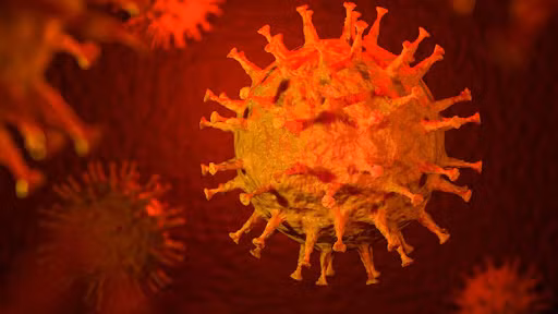 Trong tiếng Bulgaria, từ "corona" có ý nghĩa chỉ sự giám hộ và gắn liền của Bulgaria với lãnh thổ Nga. Chính vì vậy, bà Neshka đã từng nghĩ rằng câu nói của nhà tiên tri Vanga có ý nghĩa "Bulgaria sẽ thuộc quyền giám hộ của Nga" nhưng mãi sau này, bà mới hiểu ra rằng đó là lời sấm truyền về một đại dịch có tên virus corona. Phán đoán của bà Vanga về dịch bệnh trong năm 2020 là chính xác trong bối cảnh dịch viêm đường hô hấp cấp Covid-19 do virus SARS-CoV-2 gây ra đã bùng phát trên toàn thế giới khiến hàng triệu người tử vong.