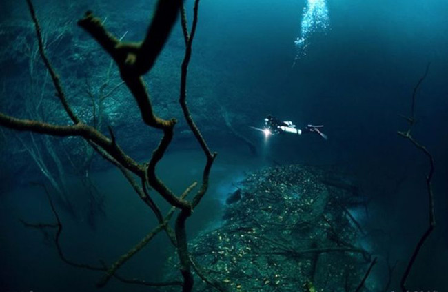 Dòng sông bên dưới đáy biển: Con sông trên hình ảnh, là con sông đầu tiên của loại hình này. Điều điên rồ hơn nữa là có những cây và đá bên cạnh dòng sông. Nếu không có hình ảnh người thợ lặn trong bức ảnh trên, ai cũng có thể nghĩ đây là một con sông trong một khu rừng nào đó.