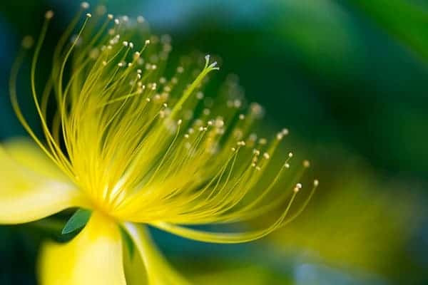 Tre sinh vao 5 ngay Am lich nay co duc, co tai, cuoc song phu quy