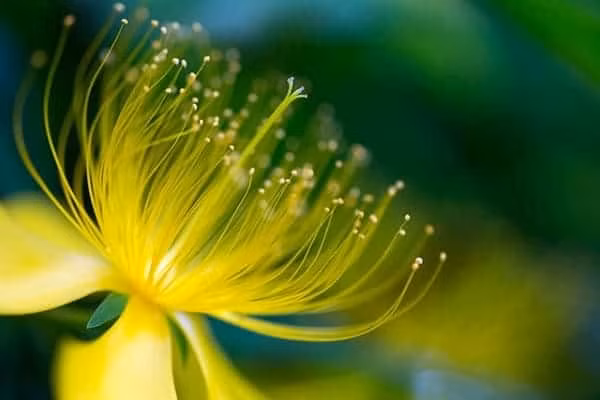 Tre sinh vao 5 ngay Am lich nay co duc, co tai, cuoc song phu quy