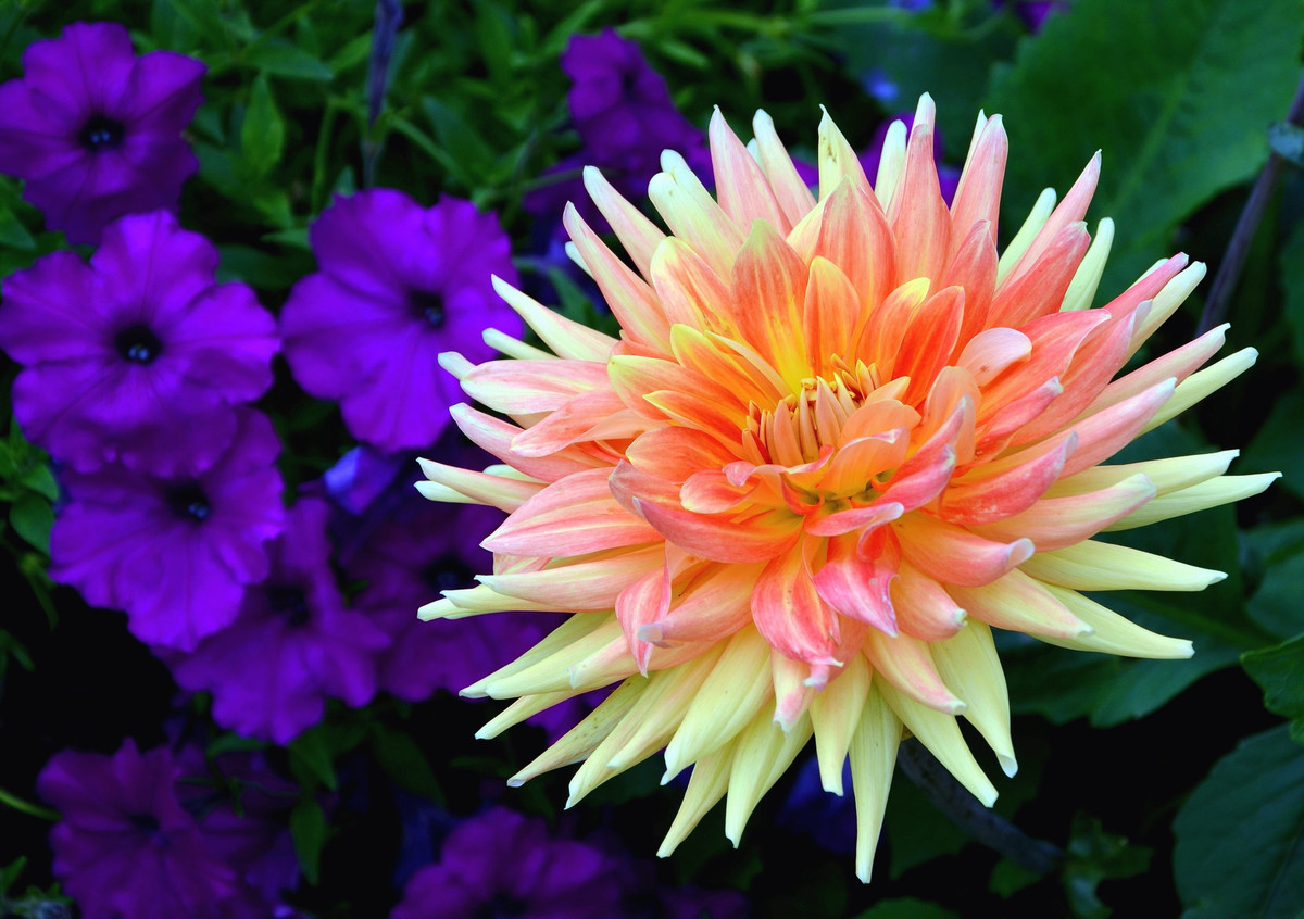 Những chàng trai sinh vào hai ngày Âm lịch này đều là những người rất thông minh, giỏi kinh doanh và luôn biết cách kiếm tiền giỏi giang hơn người khác.