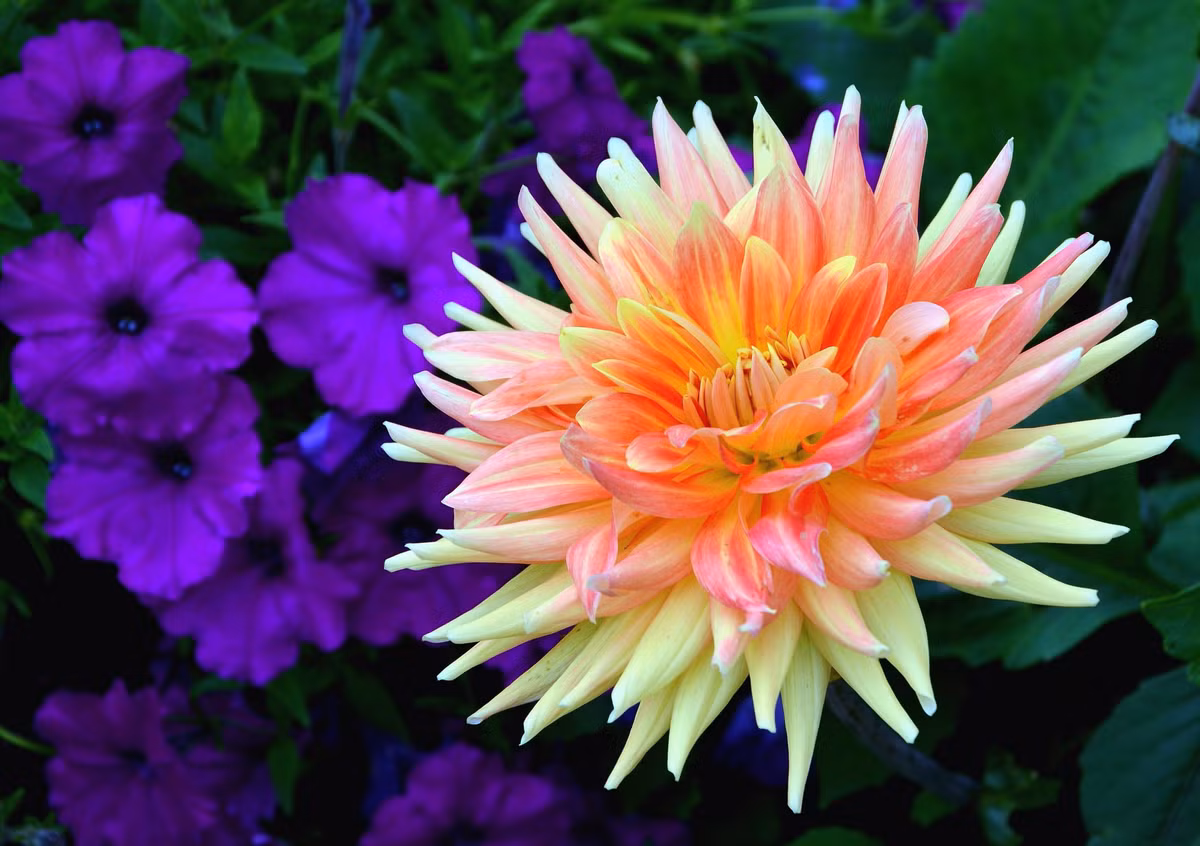 Những chàng trai sinh vào hai ngày Âm lịch này đều là những người rất thông minh, giỏi kinh doanh và luôn biết cách kiếm tiền giỏi giang hơn người khác.