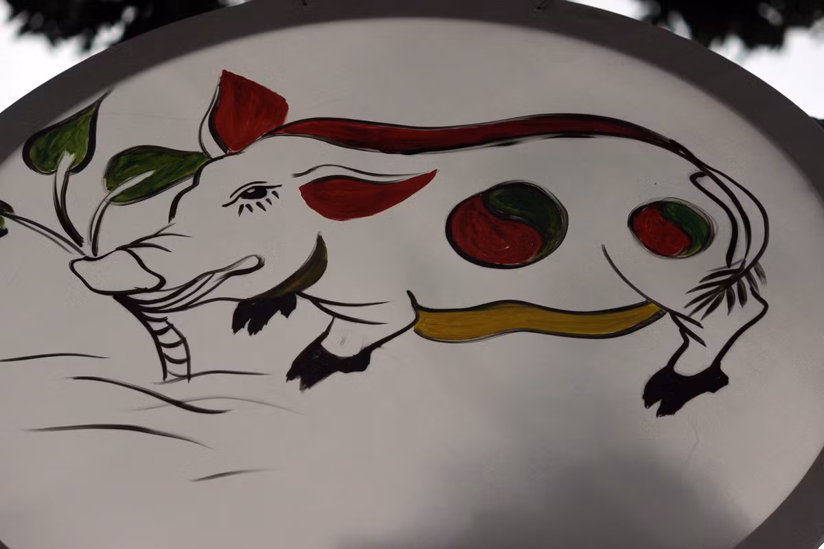 Hình ảnh chú lợn linh vật của năm 2019, cũng được giăng kín xung quanh phố bích họa Phùng Hưng, khiến không gian nơi đây càng sinh động, hấp dẫn hơn.