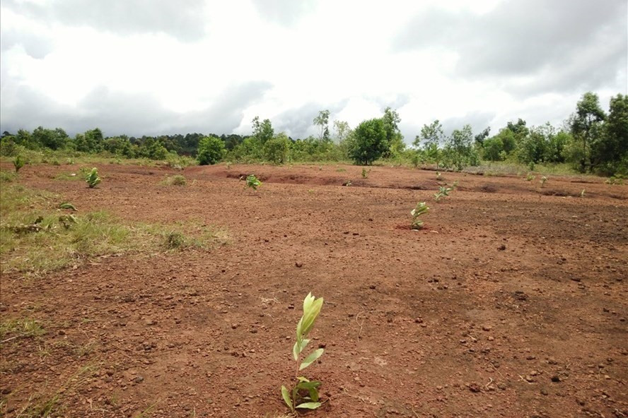 Bat chu tich xa cap dat quoc phong cho nguoi nha lanh dao