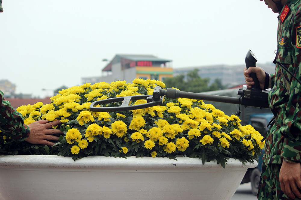 Thiết bị dò mìn quét xung quanh các khu vực chậu hoa.