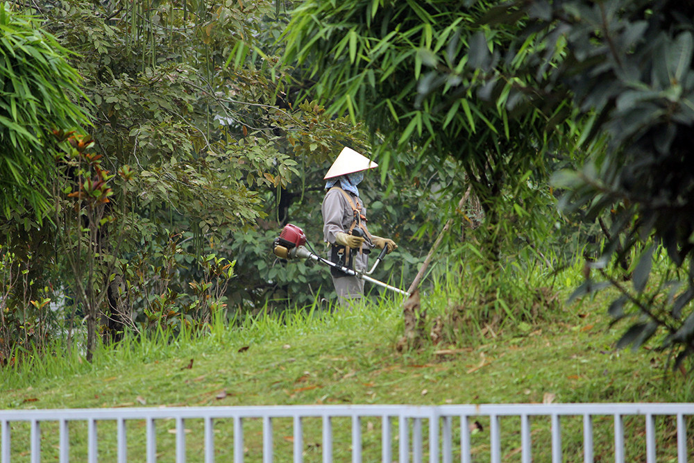 Các khuôn viên đều được dọn dẹp sạch sẽ.