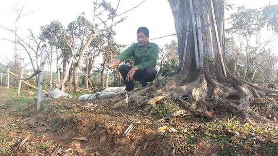 Ta hoa vuon uom cay canh gan 1 ty bi do nuoc muoi