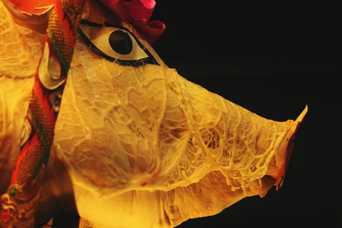 Trên mắt, tai, mũi, đuôi, chân cùng nhiều phần khác trên cơ thể "ông lợn” còn được dán giấy mô phỏng rất cầu kỳ. Tuy nhiên, ban tổ chức sẽ nghiêm cấm việc sử dụng phẩm màu để trang trí lên “ông lợn”.