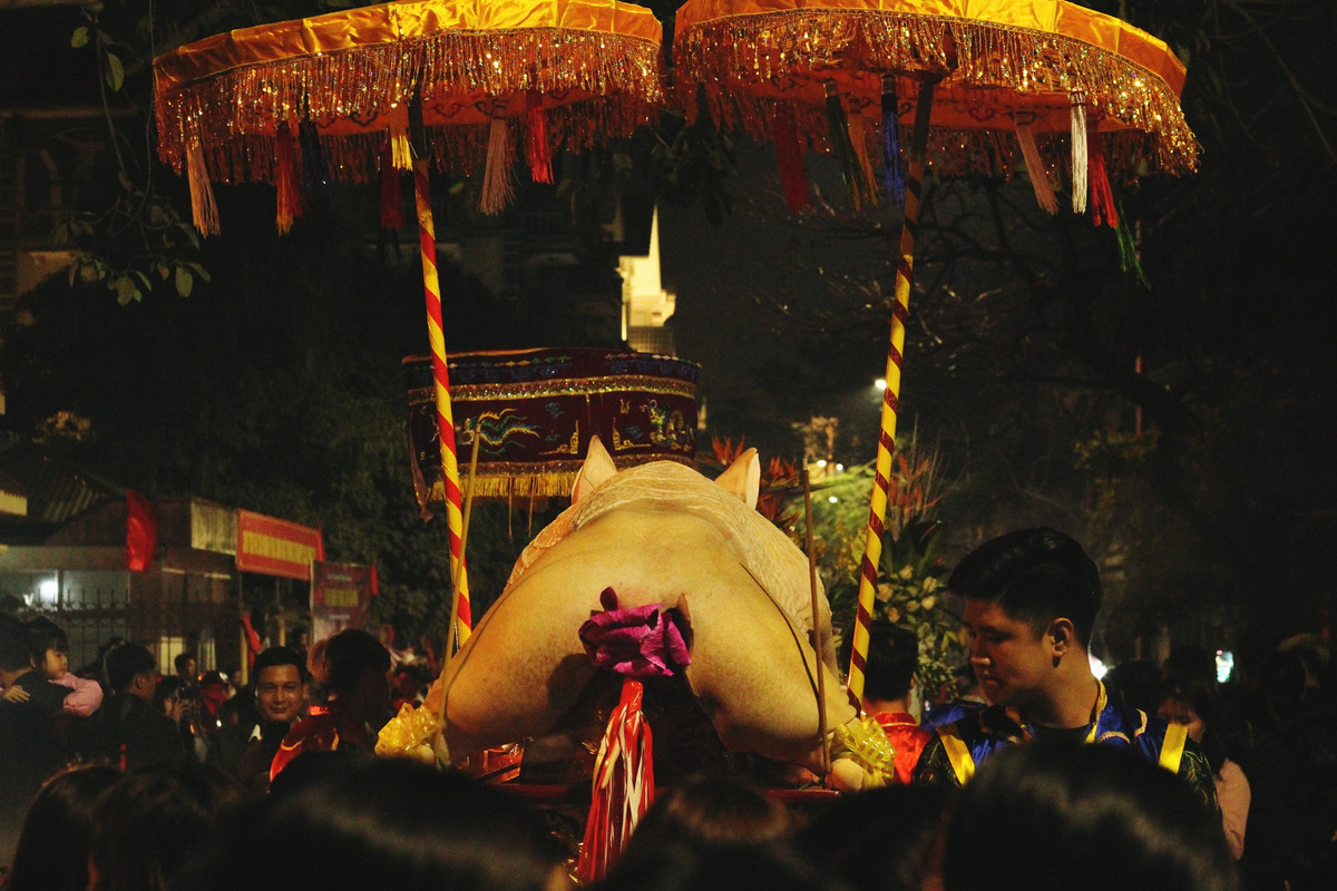 Ông Nguyễn Hữu Khoa - Phó Chủ tịch UBND xã La Phù, Trưởng ban tổ chức lễ hội cho biết, năm nay có 17 “ông lợn” được rước.