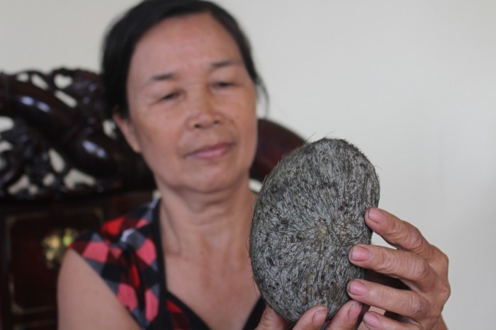 Vật này to, cứng, có lông màu nâu xám mọc xung quanh thành một hướng đều đặn và nặng 0,55kg.