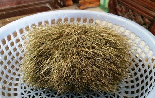 Theo tài liệu của Đông y, "cát lợn" là một loại sỏi mật lành tính được tích tụ theo thời gian, xuất hiện ở những con lợn nái nuôi lâu năm. Đặc tính của “cát lợn” là có vị ngọt, tính mát, có mùi thơm dịu của thảo mộc như vị thuốc Bắc, thuốc Nam, có tác dụng đối với tâm và can, được cho là có giá trị kinh tế cao vì có giá trị trong y học, chữa bệnh. Tuy nhiên, trên thực tế chưa nghe nói “cát lợn” chữa khỏi bệnh gì cụ thể.