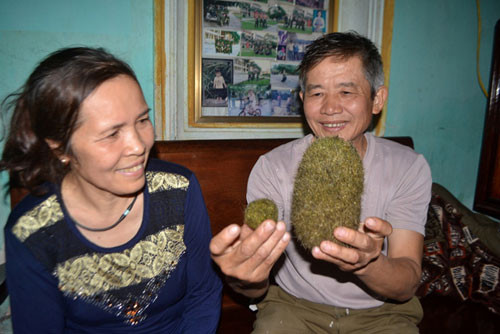 Tiếp đó, ngày 26/3/2017, gia đình ông Nguyễn Quang Vị (SN 1957) và bà Nguyễn Thị Lâm (SN 1959, ở thôn Vân Tảo, xã Thanh An, huyện Thanh Hà, tỉnh Hải Dương) mổ con lợn nuôi khoảng 5 năm, đã đẻ 17 lứa cũng phát hiện trong dạ dày và túi mật con lợn có 2 vật thể lạ màu xanh nghi là “cát lợn”.