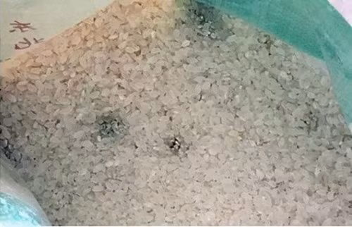 Thuong xuyen an loai gao nay, kieu gi cung ruoc ung thu-Hinh-2