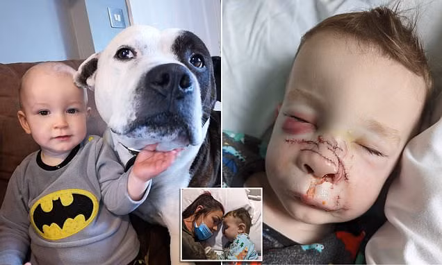 Nuoi cho cung, cha me an han ca doi vi hai con the tham