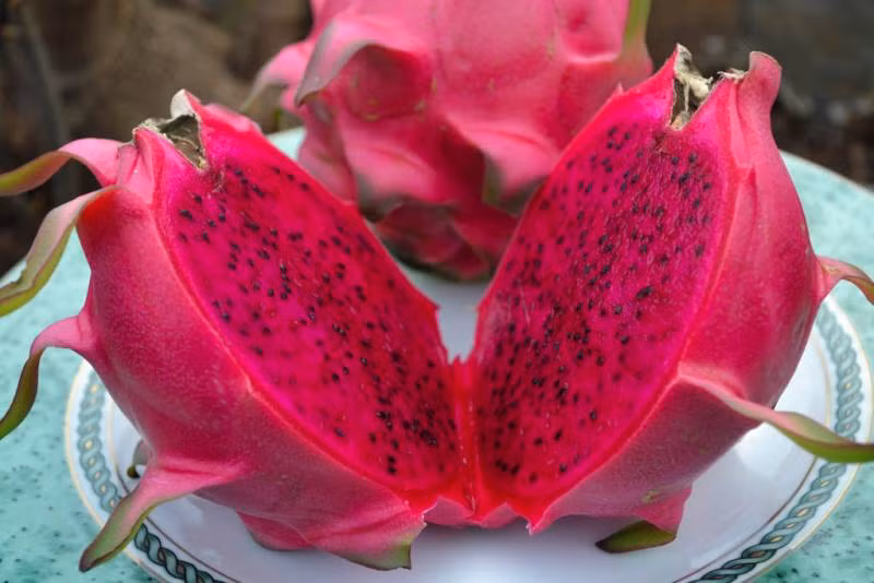 Thanh long ruột đỏ cũng có chứa nhiều carotene hơn. Đây là chất chống oxy hóa hiệu quả nhất giúp chống lại các gốc tự do, tăng cường khả năng miễn dịch của cơ thể.