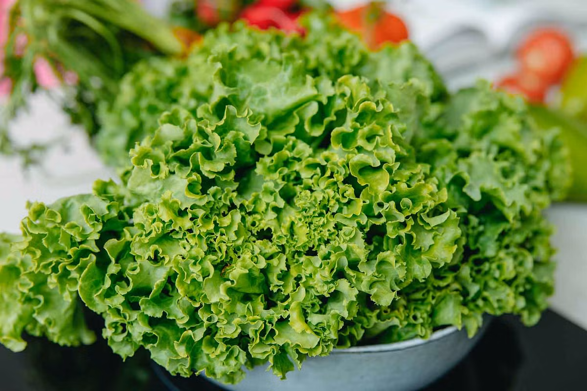  Rau xanh: Gốc tự do là “thủ phạm” gây ra hàng loạt các bệnh lý mãn tính, bao gồm cả rối loạn trầm cảm. Rau xanh là nhóm thực phẩm chứa nhiều chất chống oxy hóa có khả năng giảm thiệt hại của gốc tự do đối với các tế bào thần kinh ở não bộ. Hiệu quả chống trầm cảm của nhóm thực phẩm này cũng đã được nghiên cứu sơ bộ tại Mỹ và Canada.