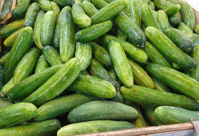 Mùa dưa chuột, nhiều thương lái vô lương tâm thường cố gắng bón thúc để dưa phát triển nhanh, to, đều hơn, đồng thời cũng sử dụng thuốc bảo quản để giữ dưa chuột tươi lâu. Cũng bởi vậy, những quả dưa chuột này sẽ chứa một số hormone gây hại cho sức khỏe. Vì thế, bạn cần chọn kỹ dưa chuột khi mua về ăn.