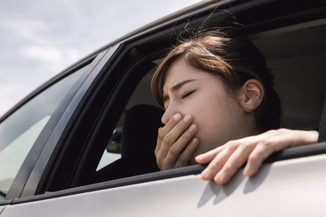 Mua du lich den roi, ghi nho ngay 3 meo chong say tau xe-Hinh-2