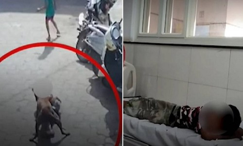 Rung minh be gai bi cho hoang lao vao can xe giua duong