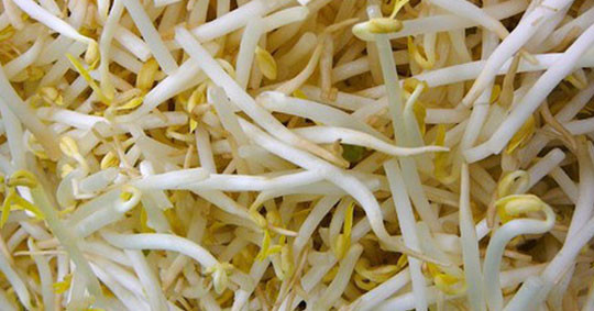 Thế nhưng, hạn sử dụng của giá đỗ tương đối ngắn. Khi không bán được hết giá đỗ, nhiều cơ sở kinh doanh sẽ cho thêm một số chất diệt rễ và chất bảo quản vào giá đỗ để giữ được độ tươi ngon. Cũng có những cơ sở dùng thuốc kích thích để tăng trưởng giá đỗ, những loại giá đỗ này thường là giá đỗ không rễ.