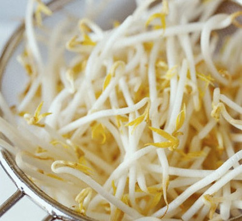 Những nghiên cứu khoa học đã chỉ ra, các hóa chất từ thuốc kích thích sẽ ứ đọng trong giá đỗ, rửa bao nhiêu lần cũng sẽ không hết, và khi cơ thể con người hấp thụ sẽ từ từ ăn mòn từng tế bào gan, phá hủy gan gây ung thư gan.