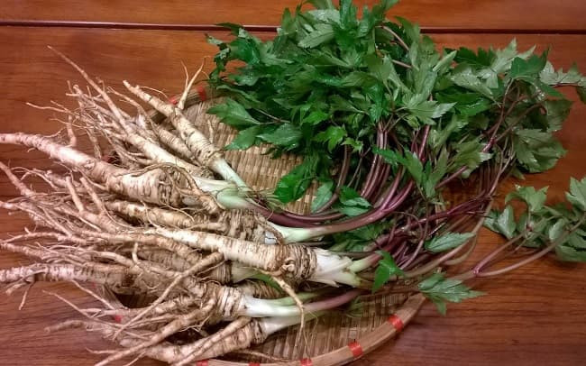 Trong hàng ngàn năm, đương quy được phái nữ tin dùng, bởi vì nó vừa có khả năng điều chỉnh nồng độ estrogen trong cơ thể rất độc đáo lại vừa có chứa hàm lượng sắt đáng kể có thể thúc đẩy đáng kể tuần hoàn khắp cơ thể.