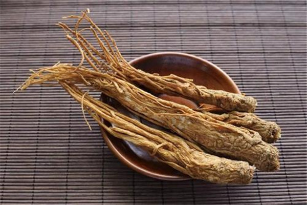 Thực tế, nhiều người chỉ biết táo đỏ và gan lợn có tác dụng dưỡng huyết mà không biết rằng đương quy chính là vị thuốc tiên bổ máu. Trong “Từ điển dược học” của Trung Quốc có ghi: “Đương quy có thể điều khí và dưỡng huyết, để khí và huyết tự trở về, nên mới có tên như vậy”. (Ảnh minh họa)