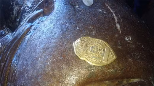 Bat duoc ca mu 200kg nghi nuot chet mot nhan vien an ninh-Hinh-2