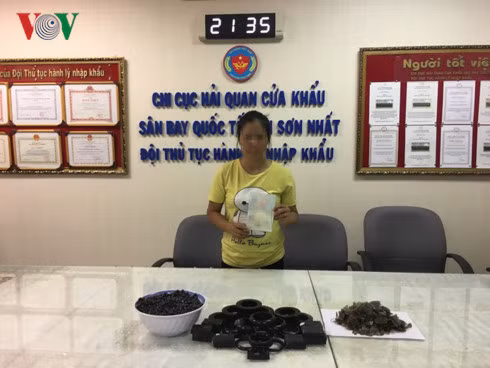 Tinh vi giau san pham lam tu dong vat hoang da trong bung ca