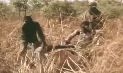 Kéo lên khỏi mặt đất..