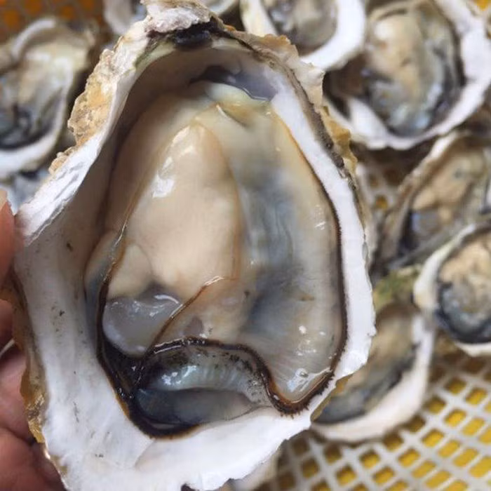 Diem danh nhung thuc pham danh thuc ham muon 