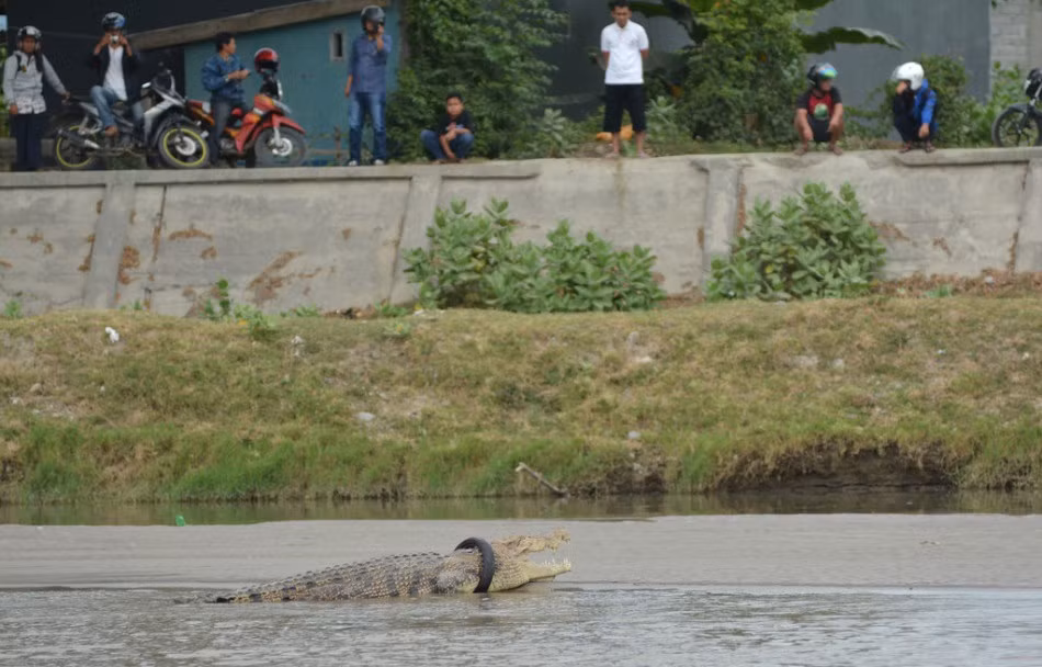 Chiếc lốp xe khá nhỏ, được cho là lốp xe của dòng xe máy Vespa. (Nguồn Sina)