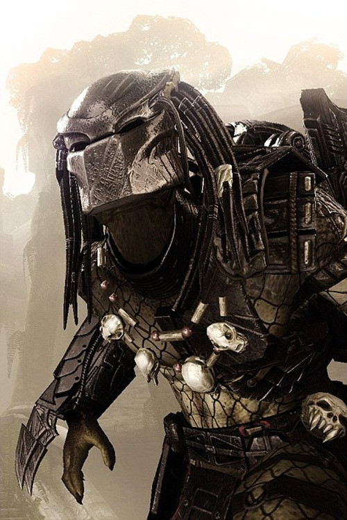 Bên cạnh đó, cũng có nhiều người cho rằng khuôn mặt của sứa khổng lồ giống hệt như quái vật vô hình Predator trong bộ phim nổi tiếng cùng tên. (Nguồn Dailymail)