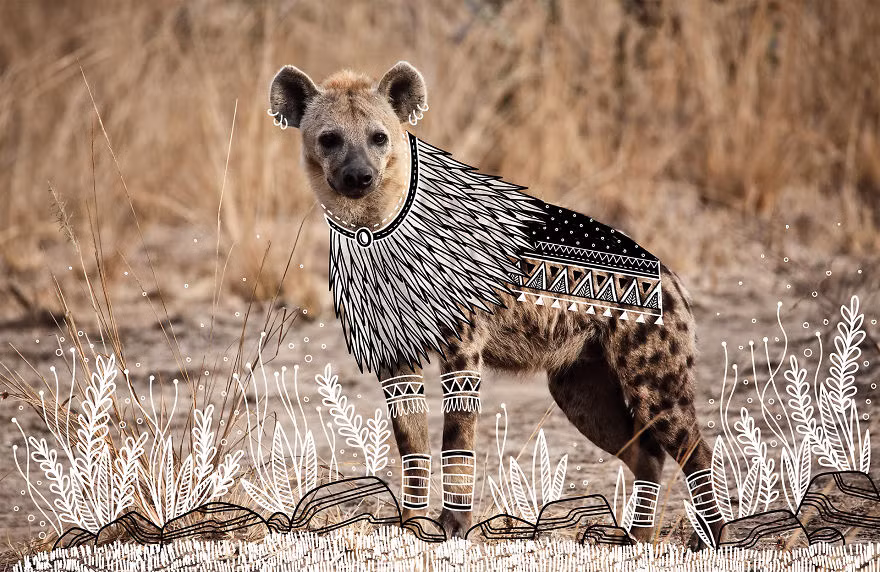 Tộc trưởng bộ lạc linh cẩu trông hiền lành nhưng khá uy nghiêm. (Nguồn Bored Panda)