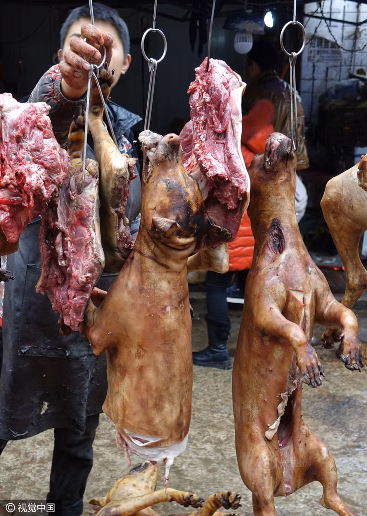 Đến khu vực chuyên bán thịt chó sống này, nếu không phải là người thần kinh vững, bạn rất dễ bị ám ảnh bởi những cảnh tượng không khác gì đang ở địa ngục. (Nguồn Sina)