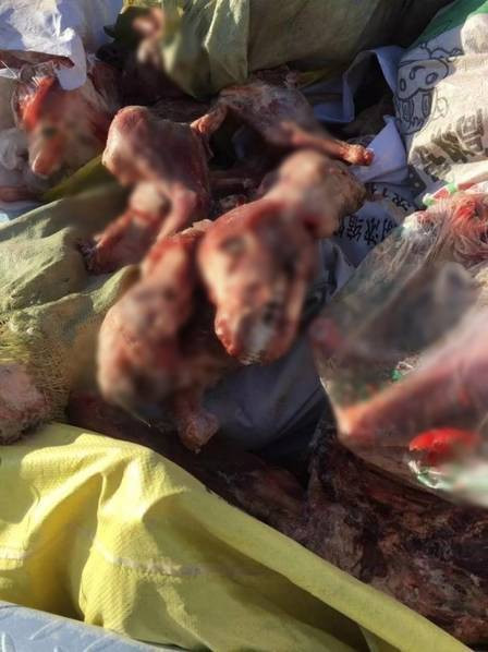 Cảnh sát đã giải cứu được 116 chú chó, tuy nhiên một số con chó do quá đau đớn vì bị ngược đãi dài ngày đã chết trên đường đến bệnh viện thú y. 16 chú chó khác trong tình trạng nguy kịch, trên người nhiều bệnh khó chữa.(Nguồn Sina)