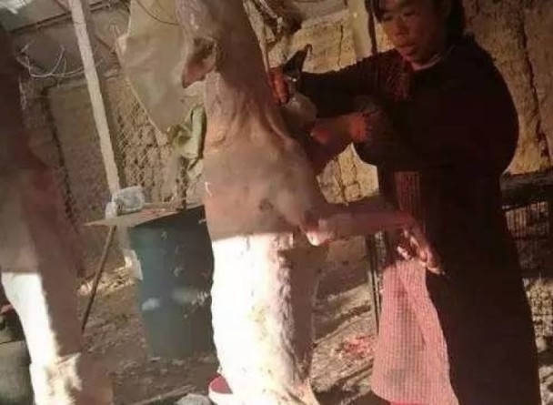 Cảnh sát thành phố Ngân Xuyên,Ninh Hạ, Trung Quốc từng bất ngờ đột kích một trại chó thịt bất hợp pháp tại thôn Hán Tá, trấn Kim Quý và giải cứu hàng trăm chú chó đáng thương, ghi lại những cảnh tượng kinh hoàng tạitrại chó thịtnày.(Nguồn Sina)