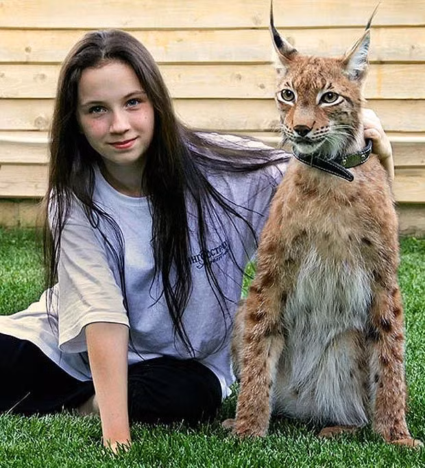 Cô gái trẻ và thú cưng độc lạ của mình, một con linh miêu tai đen chính hiệu. (Nguồn Sina)