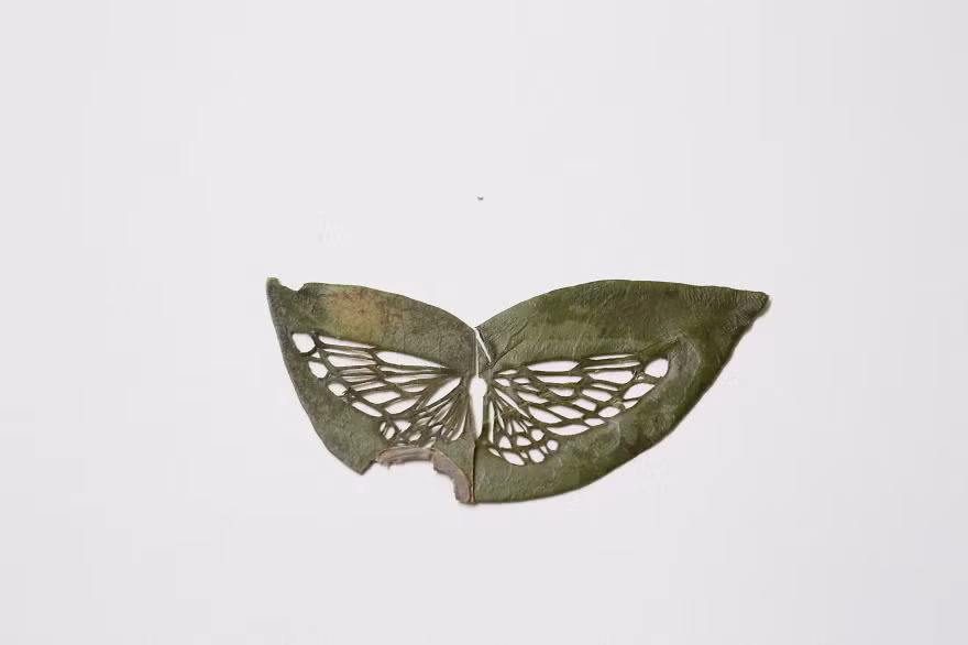 Tuy nhiên, ý nghĩa chứa đựng trong những tác phẩm này không hề đơn giản. (Nguồn Bored Panda)